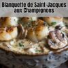 Blanquette Raffinée de Saint-Jacques aux Champignons