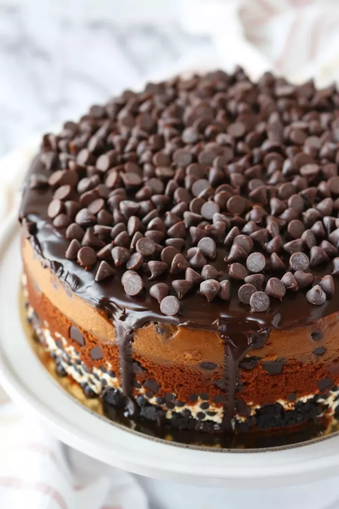 Cake Courge Chocolat: L'ultime plaisir chocolaté à la courgette